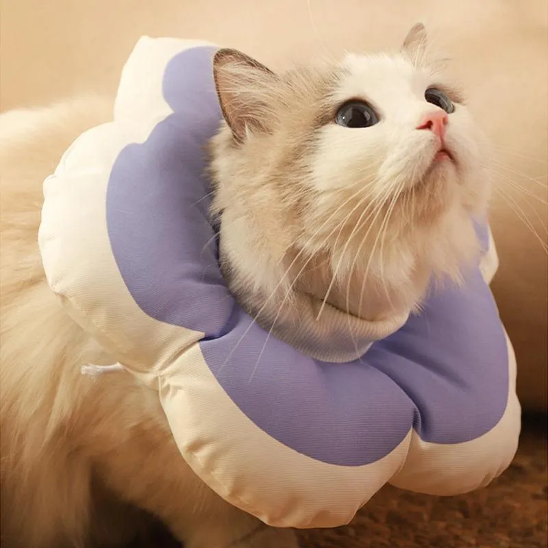 Adjustable Cat Flower Elizabethan Collar