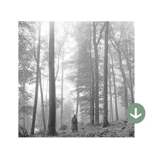 folklore Digital Deluxe Album (Clean)